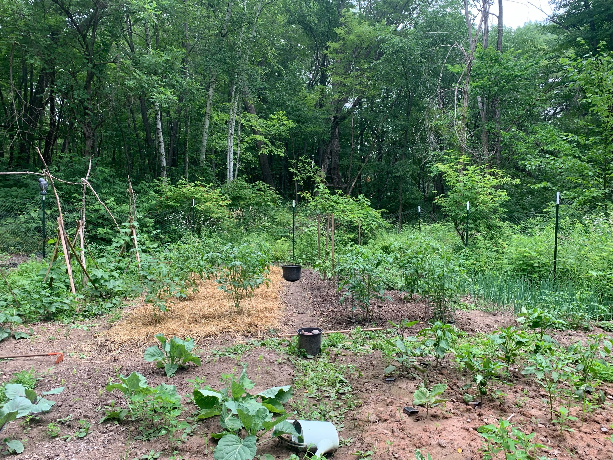 in the garden :: april, may, and june 2023
